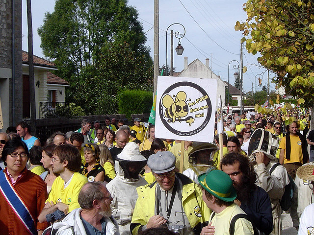 Manifestation anti-OGM à Milly-la-Forêt en septembre 2007 (photo flickr/Davide_Reverchon)