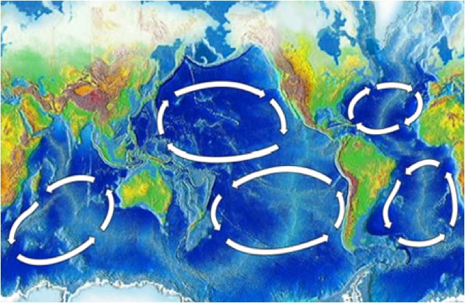 Il existe cinq tourbillons majeurs, de dimensions océaniques : le tourbillon d’Atlantique Nord, d’Atlantique Sud, du Pacifique Nord, du Pacifique Sud et de l'Océan Indien. (source : noaa)