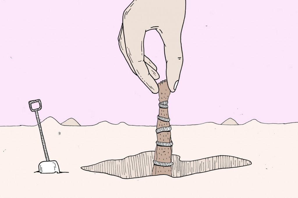 (Illustration : 8e étage/Anissa Radina)