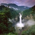 old-growth-rainforests-amazon-conservation