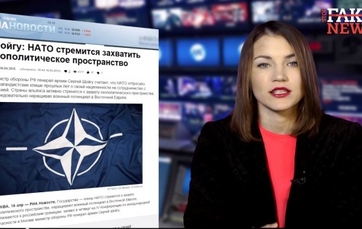 (Capture d'écran :  StopFakeNews)