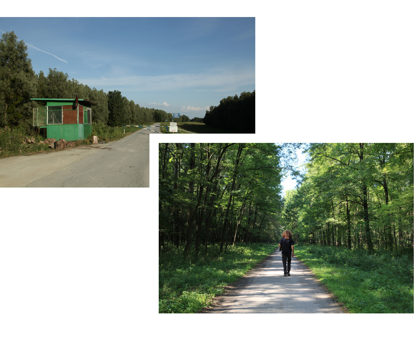Pour accéder au Liberland, on peut emprunter la route qui longe le Danube puis, au bout de 4 km, s'enfoncer dans la forêt. (photo Elisabeth Blanchet/8e étage)