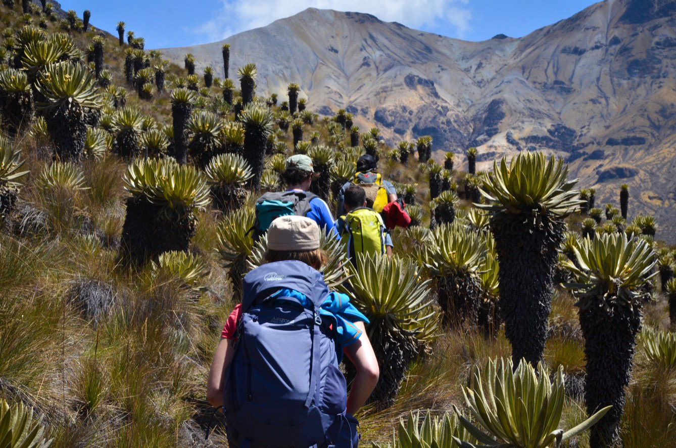 Dans le parc national Los Nevados, les colonnes de randonneurs étrangers ont remplacé celles des FARC qui contrôlaient ces montagnes il y a une décennie. (photo Jérôme Le Boursicot/8e étage)